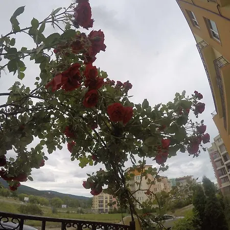 Apartament Vp Amadeus 19